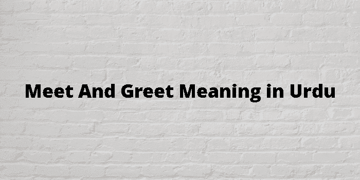 meet and greet