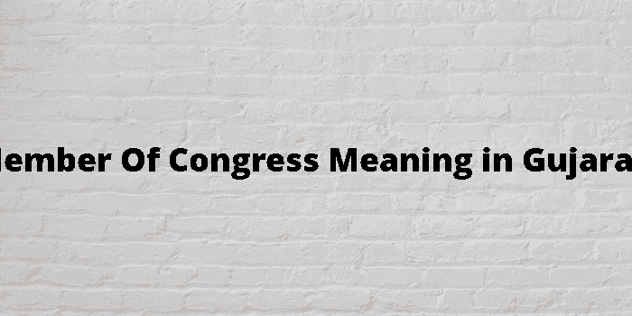 member of congress