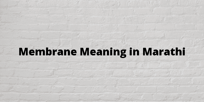 membrane