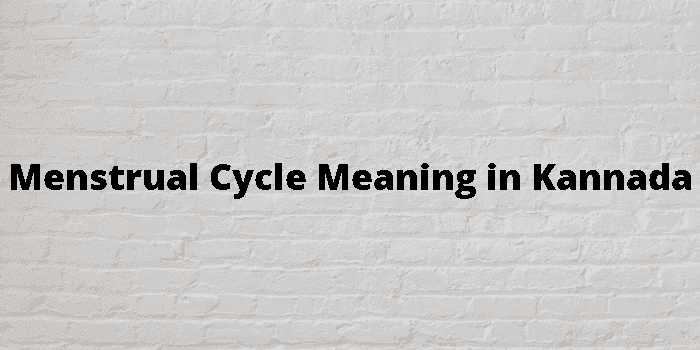 menstrual cycle