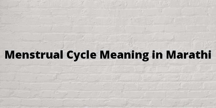 menstrual cycle