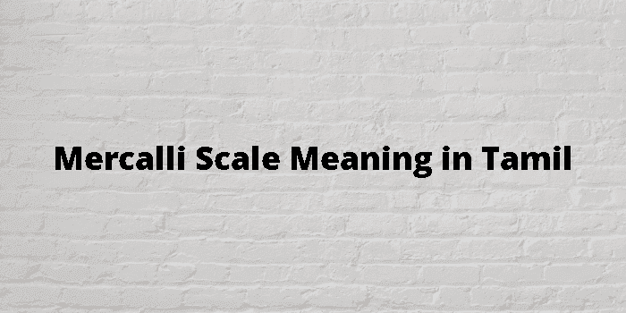 mercalli-scale-meaning-in-tamil