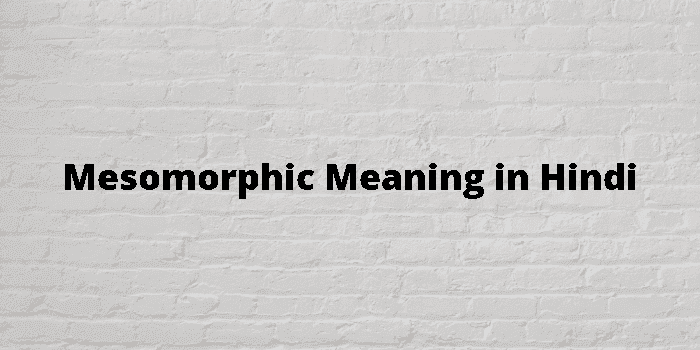 mesomorphic