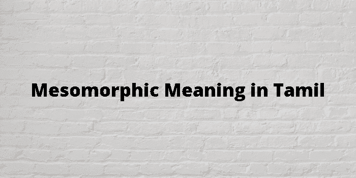 mesomorphic