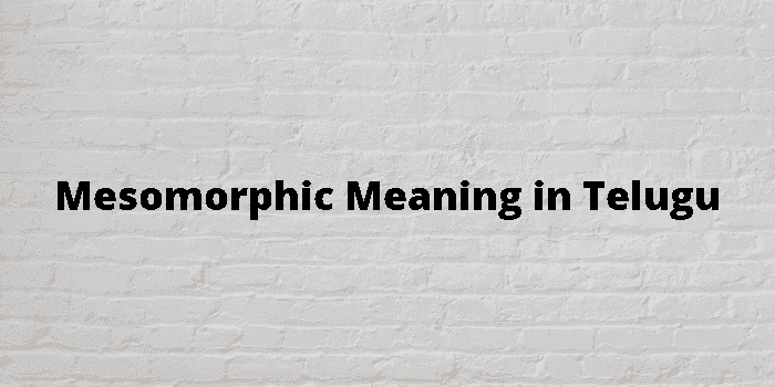 mesomorphic