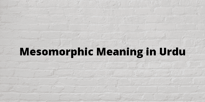 mesomorphic