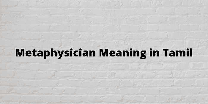 metaphysician