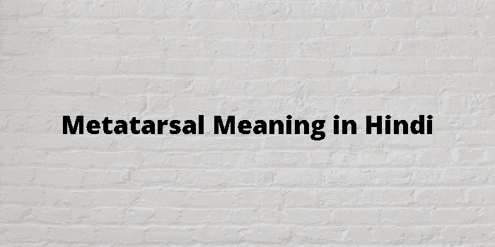 metatarsal