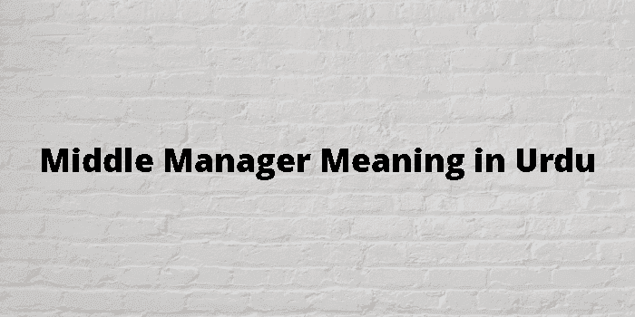 middle-manager-meaning-in-urdu