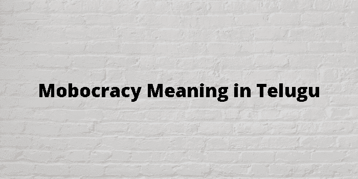 mobocracy