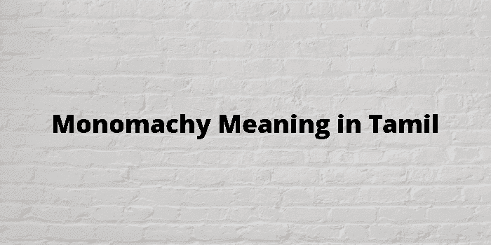 monomachy