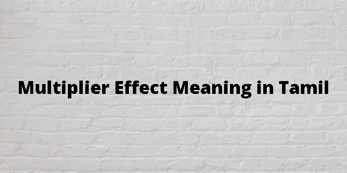 multiplier-effect-meaning-in-tamil