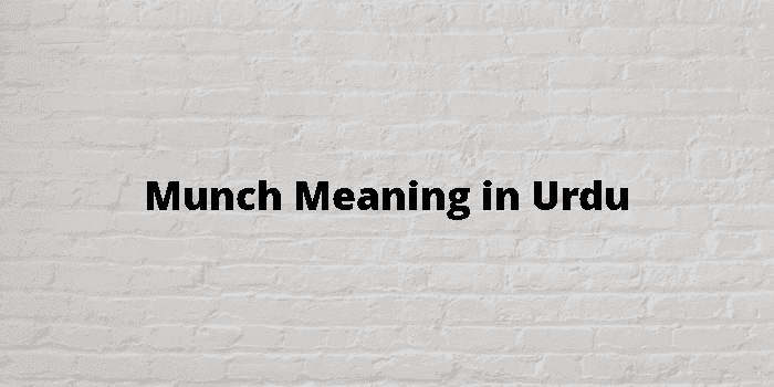Munched Meaning In Urdu, Chabana چبانا