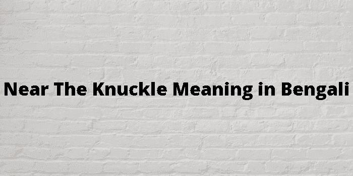 near the knuckle