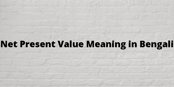 net present value