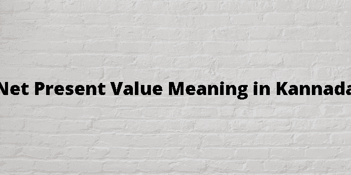 net present value