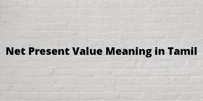 net present value