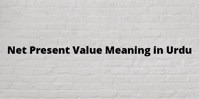 net present value