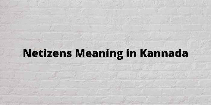 netizens-meaning-in-kannada