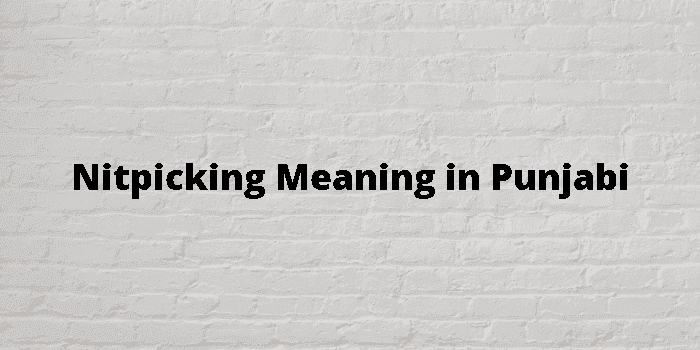 nitpicking