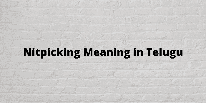 nitpicking