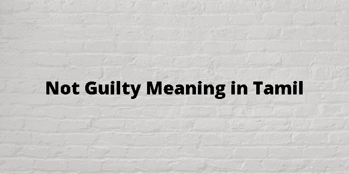 not guilty