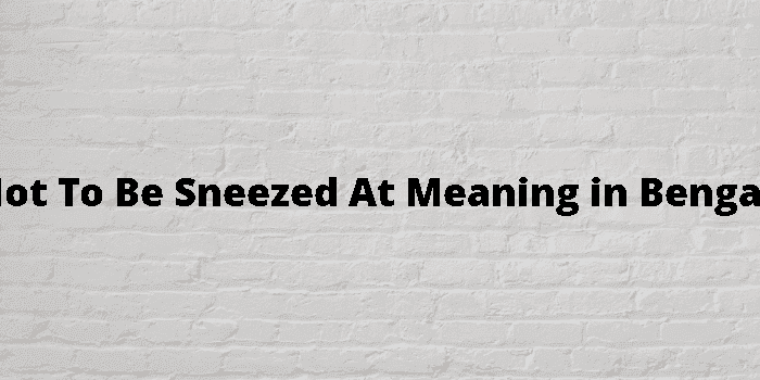 not to be sneezed at