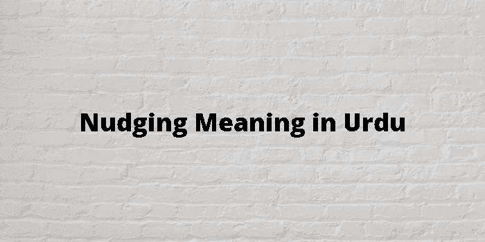 nudging