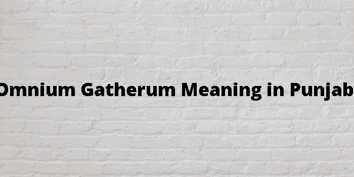 omnium gatherum