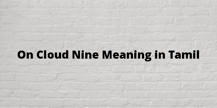 on-cloud-nine-meaning-in-tamil