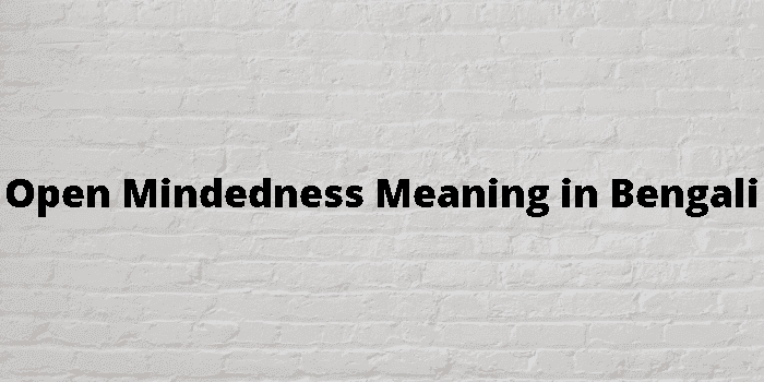 open mindedness