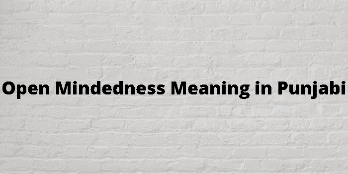 open mindedness