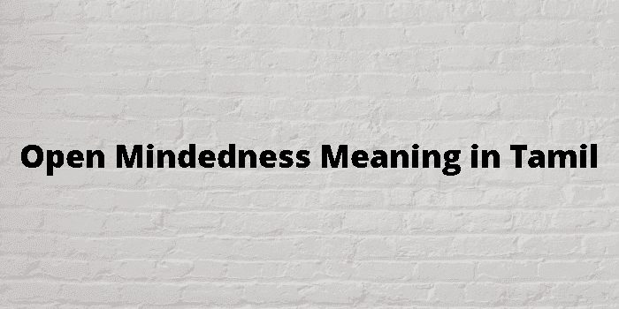 open mindedness