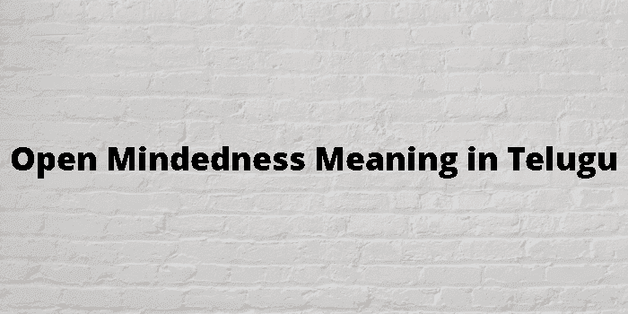 open mindedness