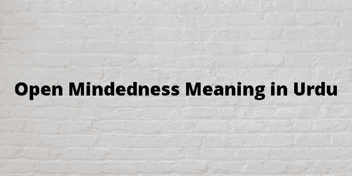 open mindedness