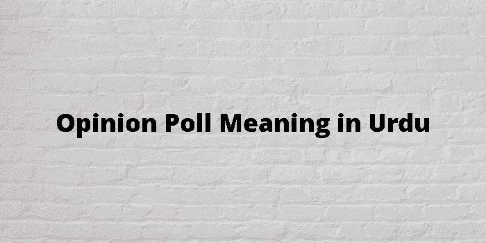 opinion poll