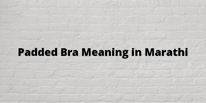 Bust Size Meaning in Marathi, Bust Size म्हणजे काय, Bust Size in Marathi  Dictionary