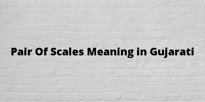 pair of scales