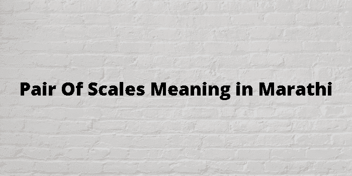 pair of scales