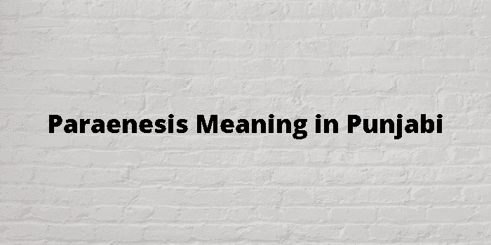 paraenesis