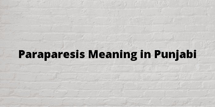 paraparesis