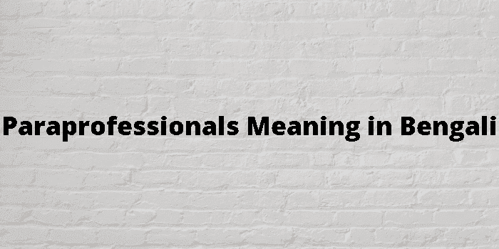 paraprofessionals-meaning-in-bengali