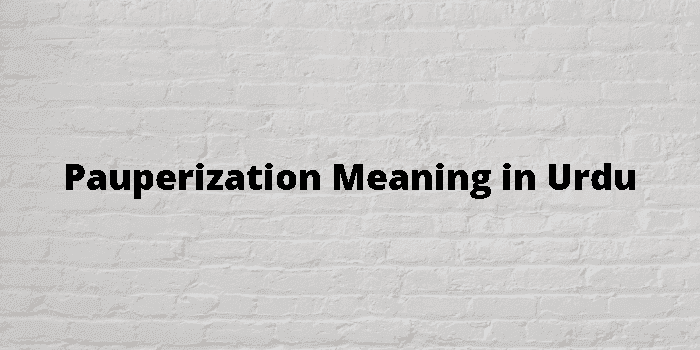 pauperization