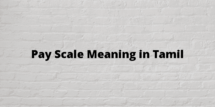 pay-scale-meaning-in-tamil