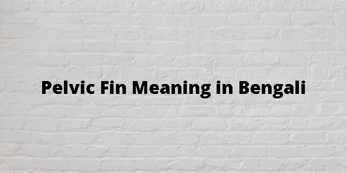 girdle - Bengali Meaning - girdle Meaning in Bengali at