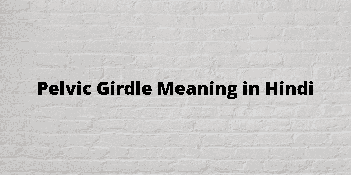 Pelvic Girdle Meaning In Hindi - हिंदी अर्थ