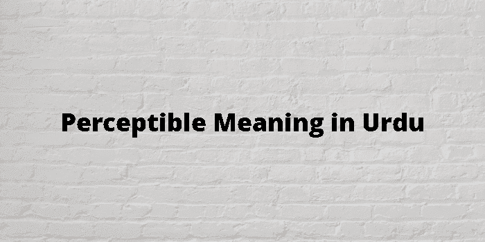 perceptible