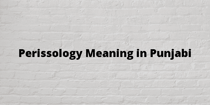 perissology