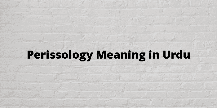 perissology