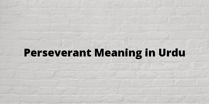 perseverant